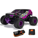 1/10 GORGON 2WD RTR Brushed Monster Truck (Battery & Charger Included), Purple