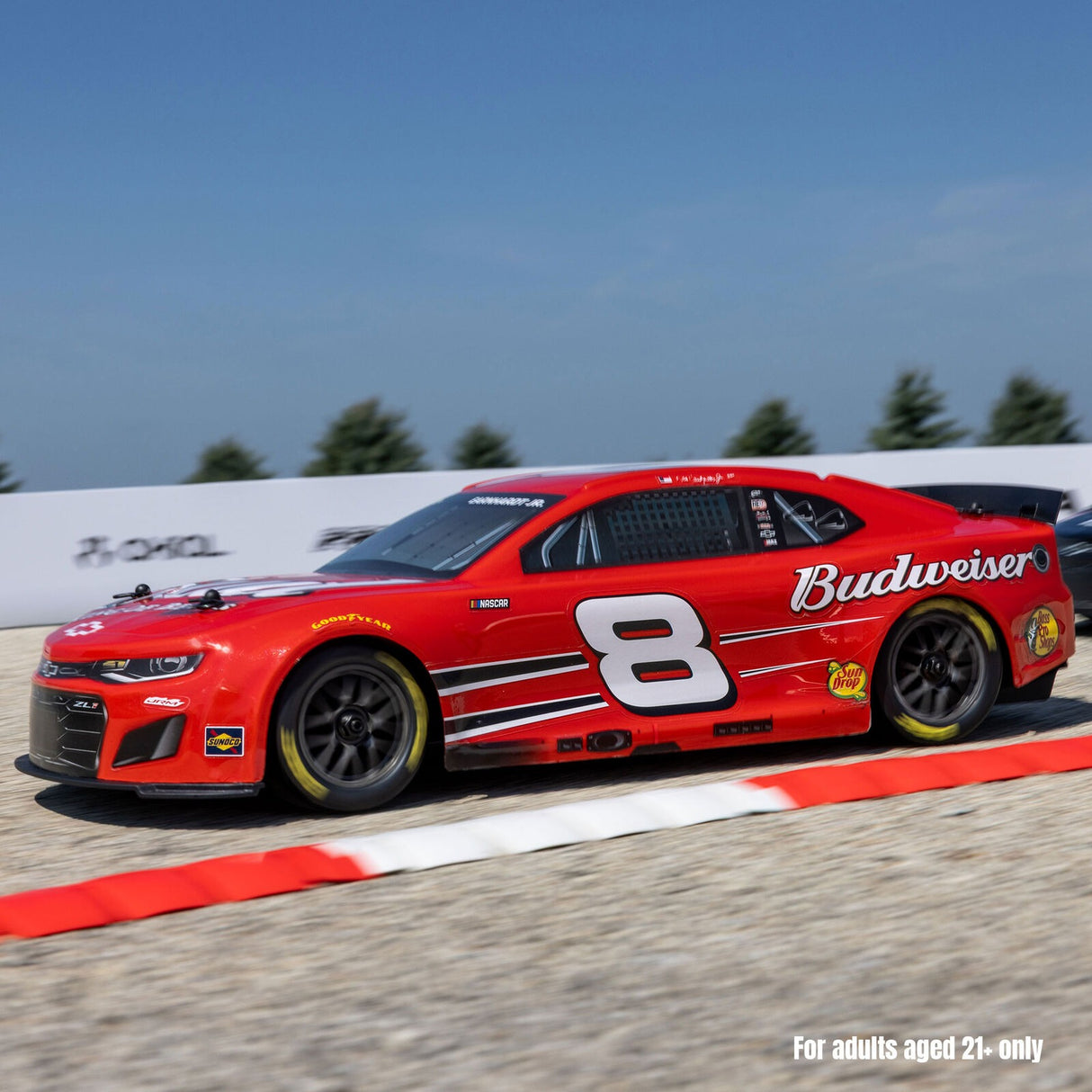 1/12 Losi NASCAR Dale Earnhardt Jr. No. 8 Budweiser (Battery & Charger Included)